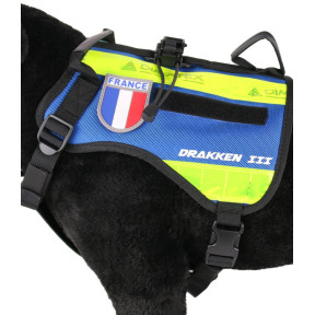 Harnais pour chien Drakken 3 Bleu - Dimatex